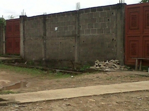 Image 1 Title