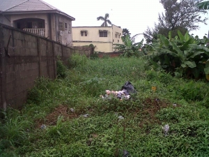 Image 1 Title