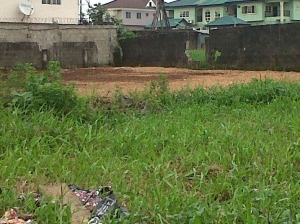 Image 1 Title