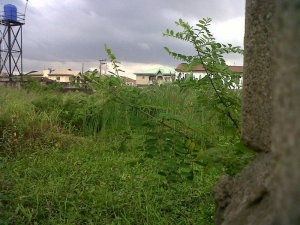 Image 1 Title