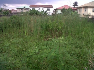 Image 1 Title