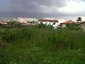 Image 1 Title