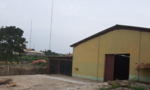 Image 1 Title