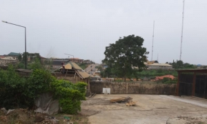 Image 1 Title