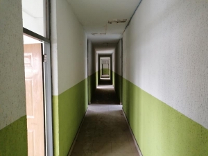 Image 1 Title