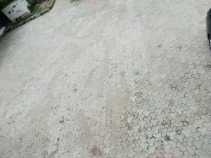 Image 1 Title
