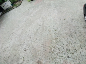 Image 1 Title