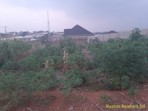 1300sm Land Land for Sale Ibadan Oyo Vetra  Property
