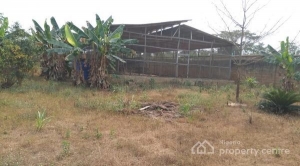 A Poultry Farm On 4 Acres Of Land Commercial Property for Sale Ibadan Oyo Vetra  Property