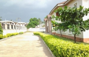 Image 1 Title