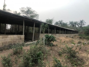 Image 1 Title