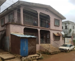 Image 1 Title