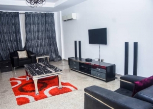 Luxury Fully Furnished 3 Bedroom Flat 3 bedroom House for Rent Victoria Island Lagos Vetra  Property