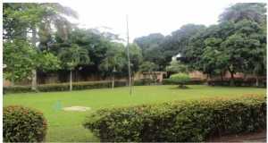 Image 1 Title