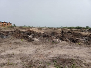 Affordable Land For Sale In Dangote Refinery Îbeju Lekki Lagos State Land for Sale Ibeju Lekki Lagos Vetra  Property