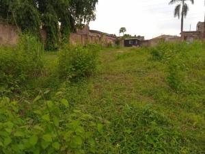 Image 1 Title