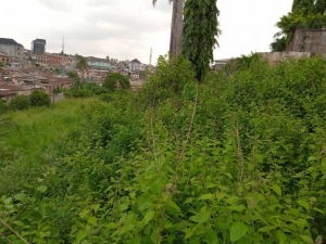 Image 1 Title