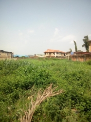 Image 1 Title