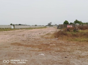 Image 1 Title