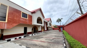 Image 1 Title