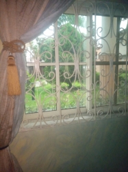 Image 1 Title
