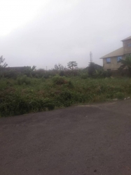 1300sqm Of Land For Sale At Oluyole Estate  1,300 Meter Square of Land for Sale Ibadan Oyo Vetra  Property