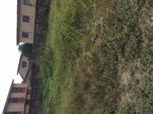 600sqm Of Land For Sale At Elephant Area,oluyole Estate,ibadan 600 Meter Square of Land for Sale Ibadan Oyo Vetra  Property