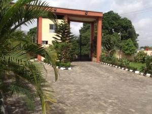 Image 1 Title