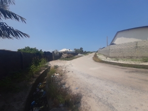 Image 1 Title