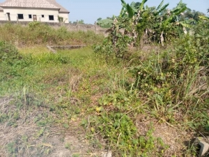 Distress Sales 869.631sqm Of Land At Alaka, Off Iwo Road, Olodo Area Asking Price 3.5m  870 Meter Square of Land for Sale Ibadan Oyo Vetra  Property