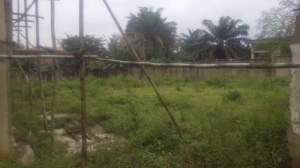 620sqm Of Land At Green Gate Fenced And Gated  620 Meter Square of Land for Sale Ibadan Oyo Vetra  Property