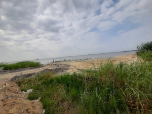 Image 1 Title