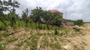 Lovely And Nicely Located Residential Plot 786 Meter Square of Land for Sale Life Camp Abuja Vetra  Property