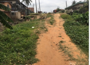 Image 1 Title