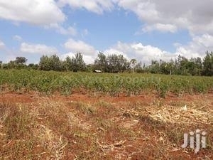 Land For Sale Mowo Badagry Badagry Lagos 22,648 Hectare of Land for Sale Badagri Lagos Vetra  Property