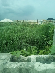 Image 1 Title