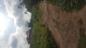 1000 Square Meters Land For Sale At Ikeja Gra  1,000 Meter Square of Land for Sale Ikeja Lagos Vetra  Property