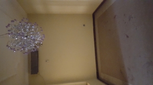 Image 1 Title