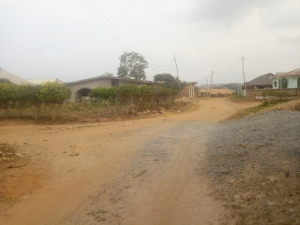 Image 1 Title