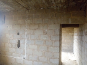 Image 1 Title