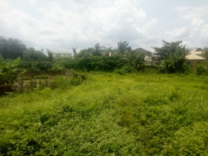 Strategic Two Plots Of Land In A Gated Estate Near The Main Road 2 Plots of Land for Sale Ibadan Oyo Vetra  Property