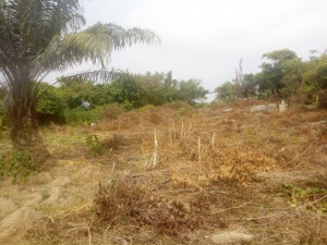 Good 2 Plots Of Land In A Developing Estate 2 Plots of Land for Sale Ibadan Oyo Vetra  Property