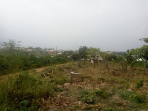 Image 1 Title