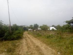 Image 1 Title