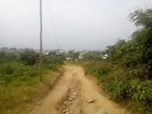 Image 1 Title