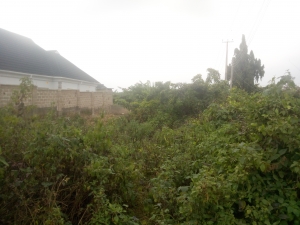 Image 1 Title
