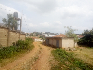 Image 1 Title