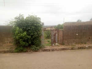 Image 1 Title