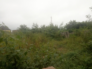 Image 1 Title