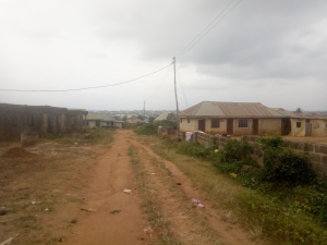 Image 1 Title